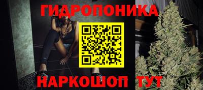 эйфоретик Кингисепп