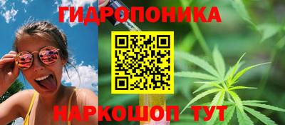 эйфоретик Кингисепп