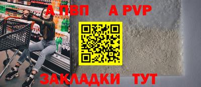эйфоретик Кингисепп