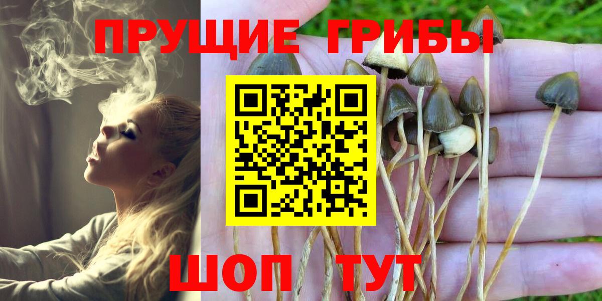 Кохма  Галлюциногенные грибы прущие грибы  Вход с VPN 